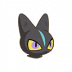 Little Black Cat portrait