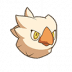 Sacred Griffin portrait