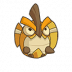 Puffy-Leaf Bug portrait